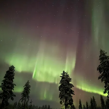 Brand New Scandinavian In Rovaniemi