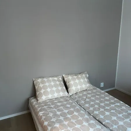 Villa Brand New Scandinavian In